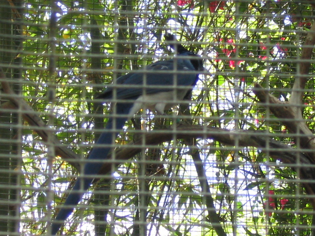 618x457 pixels (272K)